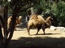 Enlarge photo 36