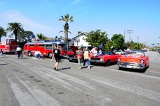 Enlarge photo 67
