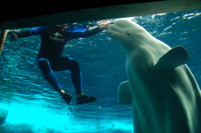 Enlarge photo 13