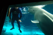 Enlarge photo 14
