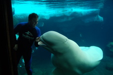 Enlarge photo 20