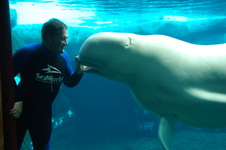 Enlarge photo 23