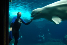 Enlarge photo 25
