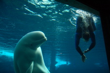Enlarge photo 27
