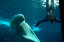 Enlarge photo 28