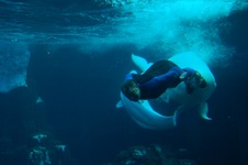 Enlarge photo 39