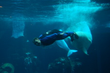 Enlarge photo 41