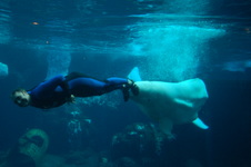 Enlarge photo 42