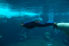 Enlarge photo 43