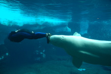 Enlarge photo 44