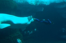 Enlarge photo 47