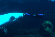 Enlarge photo 53