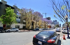 Enlarge photo 47