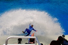 Enlarge photo 14