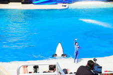 Enlarge photo 15