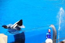Enlarge photo 23
