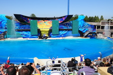 Enlarge photo 25