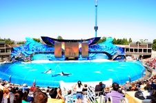 Enlarge photo 28