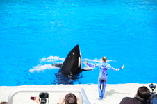 Enlarge photo 32