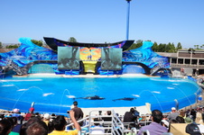 Enlarge photo 35