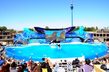 Enlarge photo 38