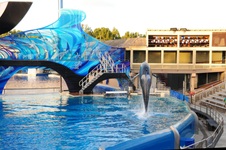 Enlarge photo 84