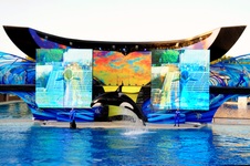 Enlarge photo 86