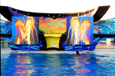 Enlarge photo 89