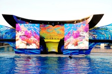 Enlarge photo 90