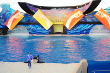 Enlarge photo 108