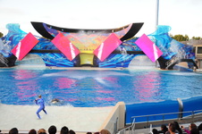 Enlarge photo 109