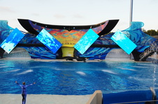 Enlarge photo 110
