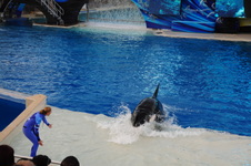 Enlarge photo 120