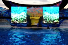 Enlarge photo 130