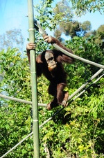 Enlarge photo 14