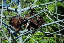 Enlarge photo 33