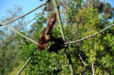 Enlarge photo 38