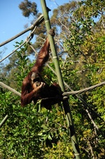 Enlarge photo 39