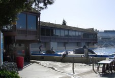 Enlarge photo 35