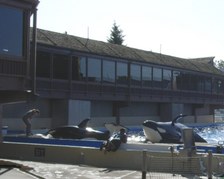 Enlarge photo 36