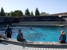 Enlarge photo 13