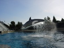 Enlarge photo 17