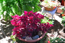 Enlarge photo 6
