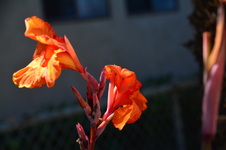 Enlarge photo 13