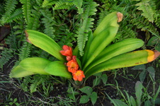 Enlarge photo 14