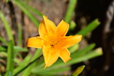 Enlarge photo 28