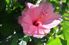 Enlarge photo 30