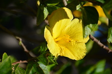 Enlarge photo 33