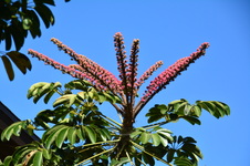 Enlarge photo 35