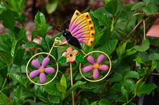 Enlarge photo 39